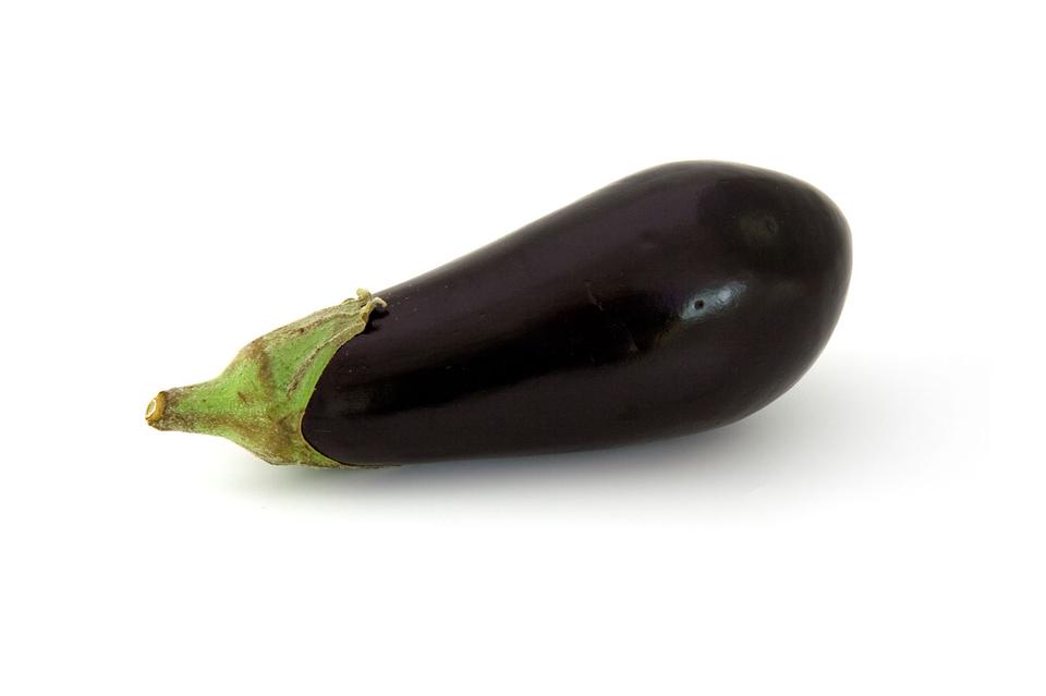 Free download high resolution image - free image free photo free stock image public domain picture  An Eggplant Isolated On A White Background