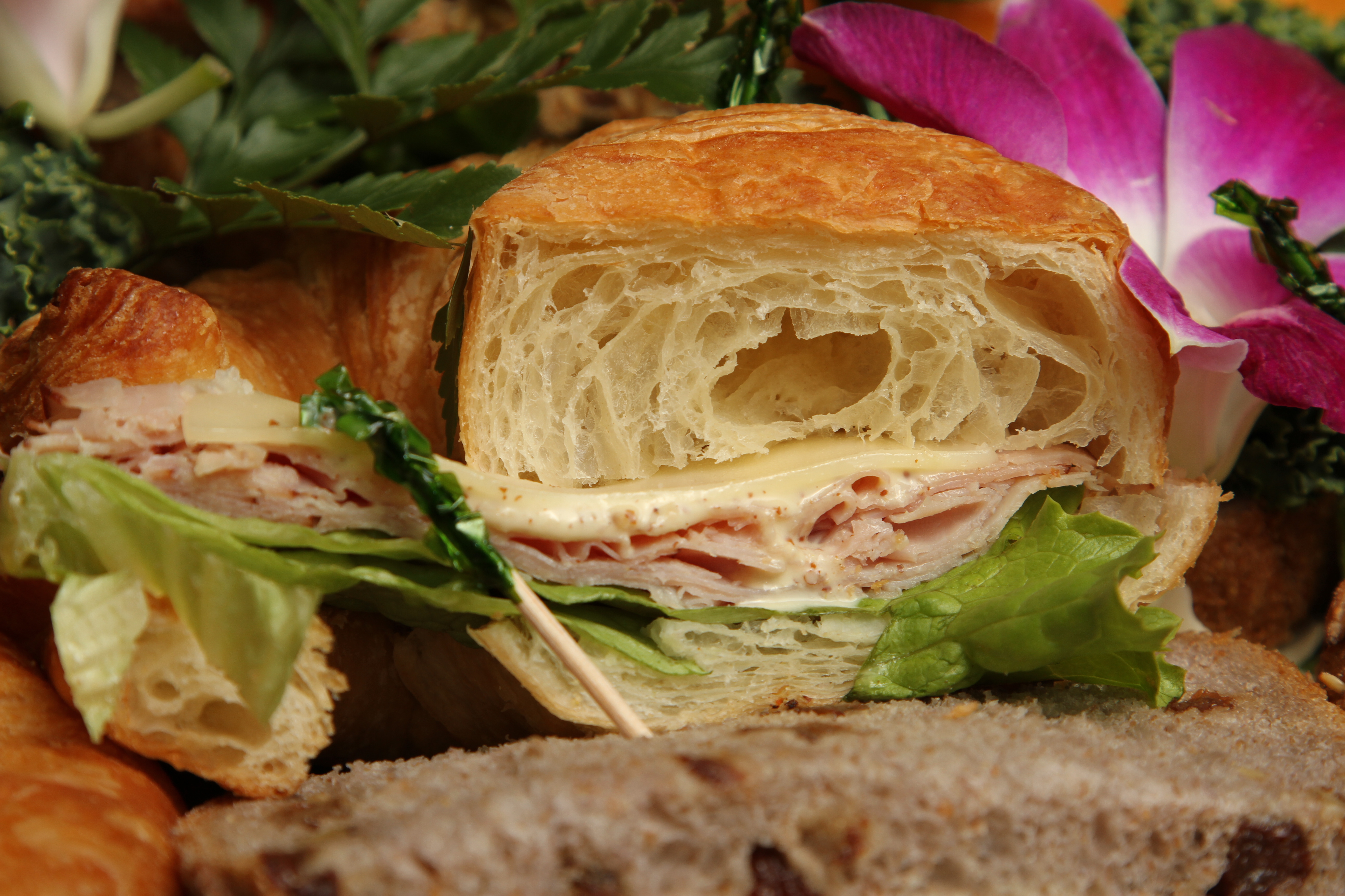 Free download high resolution image - free image free photo free stock image public domain picture -Deli Sandwiches