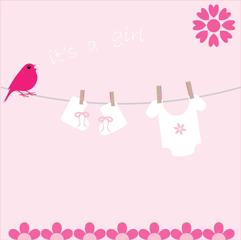 Free download high resolution image - free image free photo free stock image public domain picture  Baby Girl Card Announcement