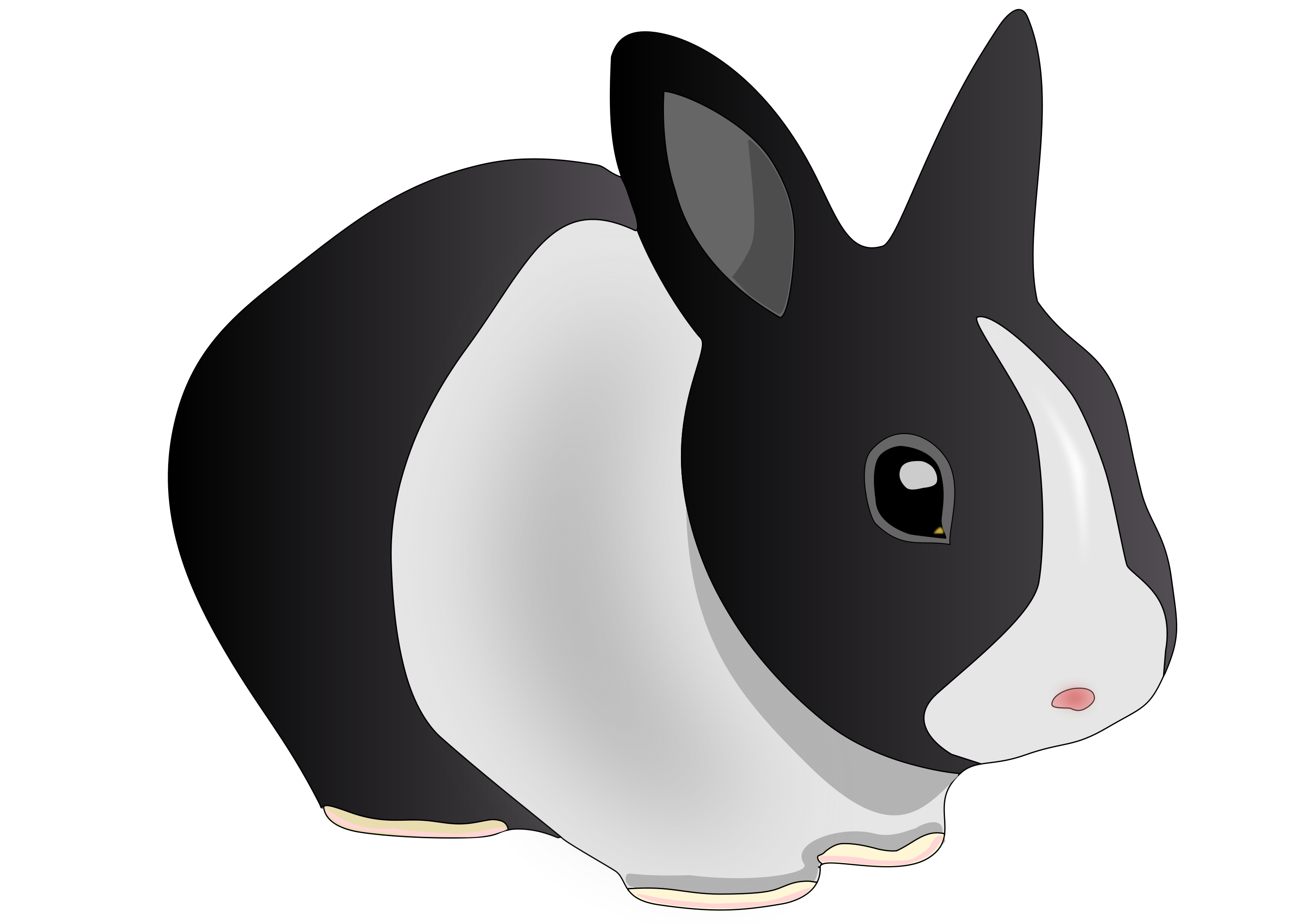 Free download high resolution image - free image free photo free stock image public domain picture -Illustration Of A Black And White Rabbit