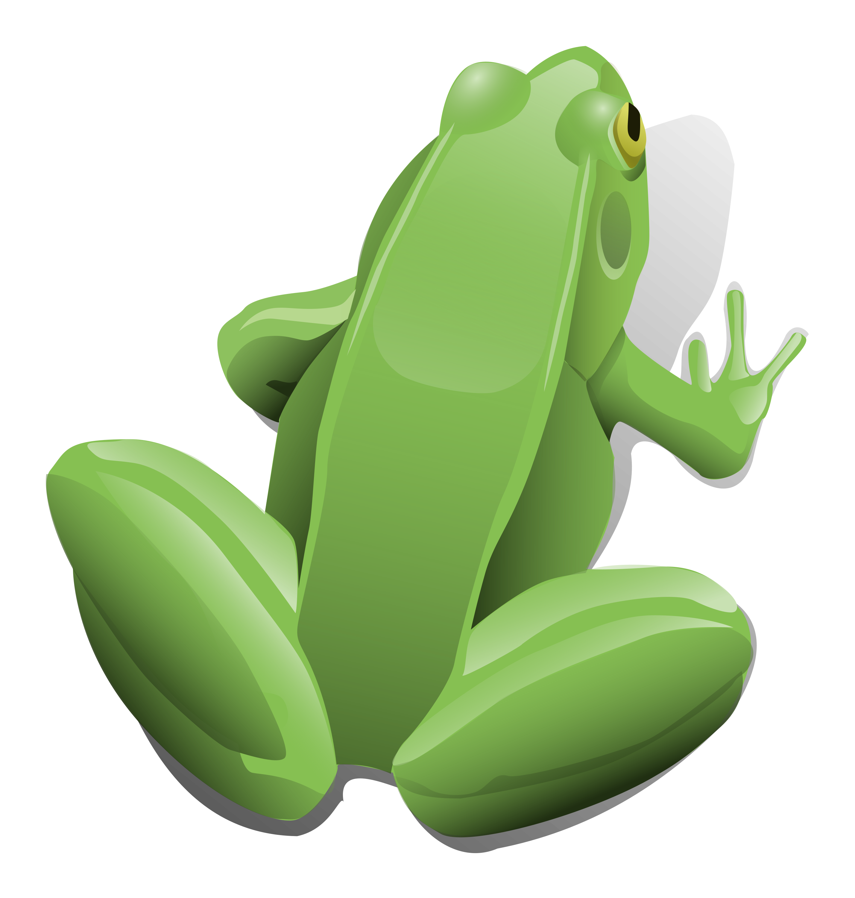 Free download high resolution image - free image free photo free stock image public domain picture -Illustration Of A Green Frog