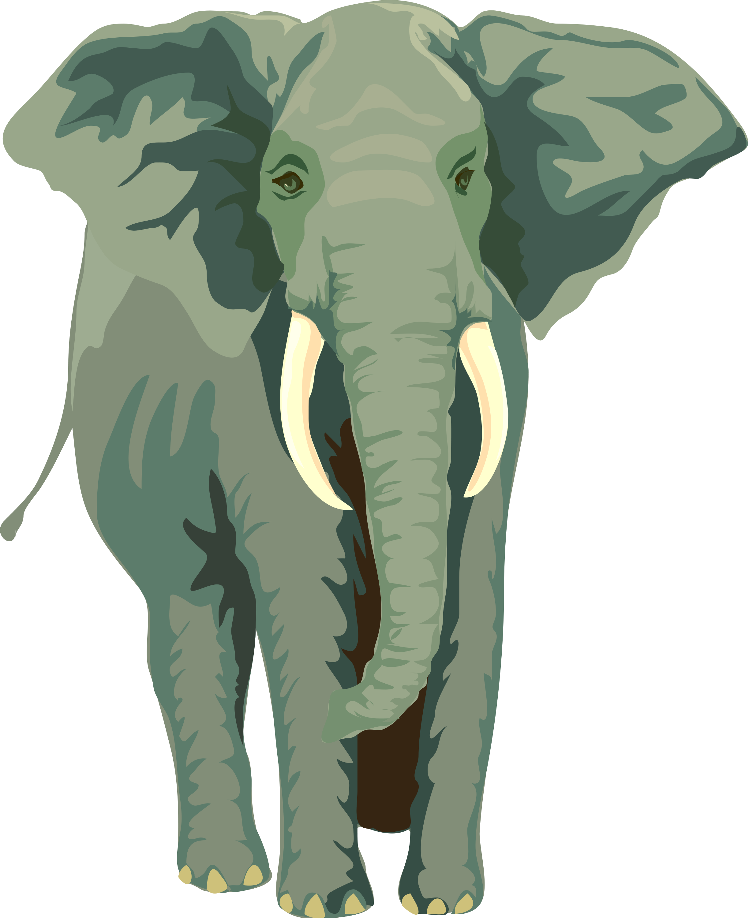 Free download high resolution image - free image free photo free stock image public domain picture -Illustration Of An Elephant