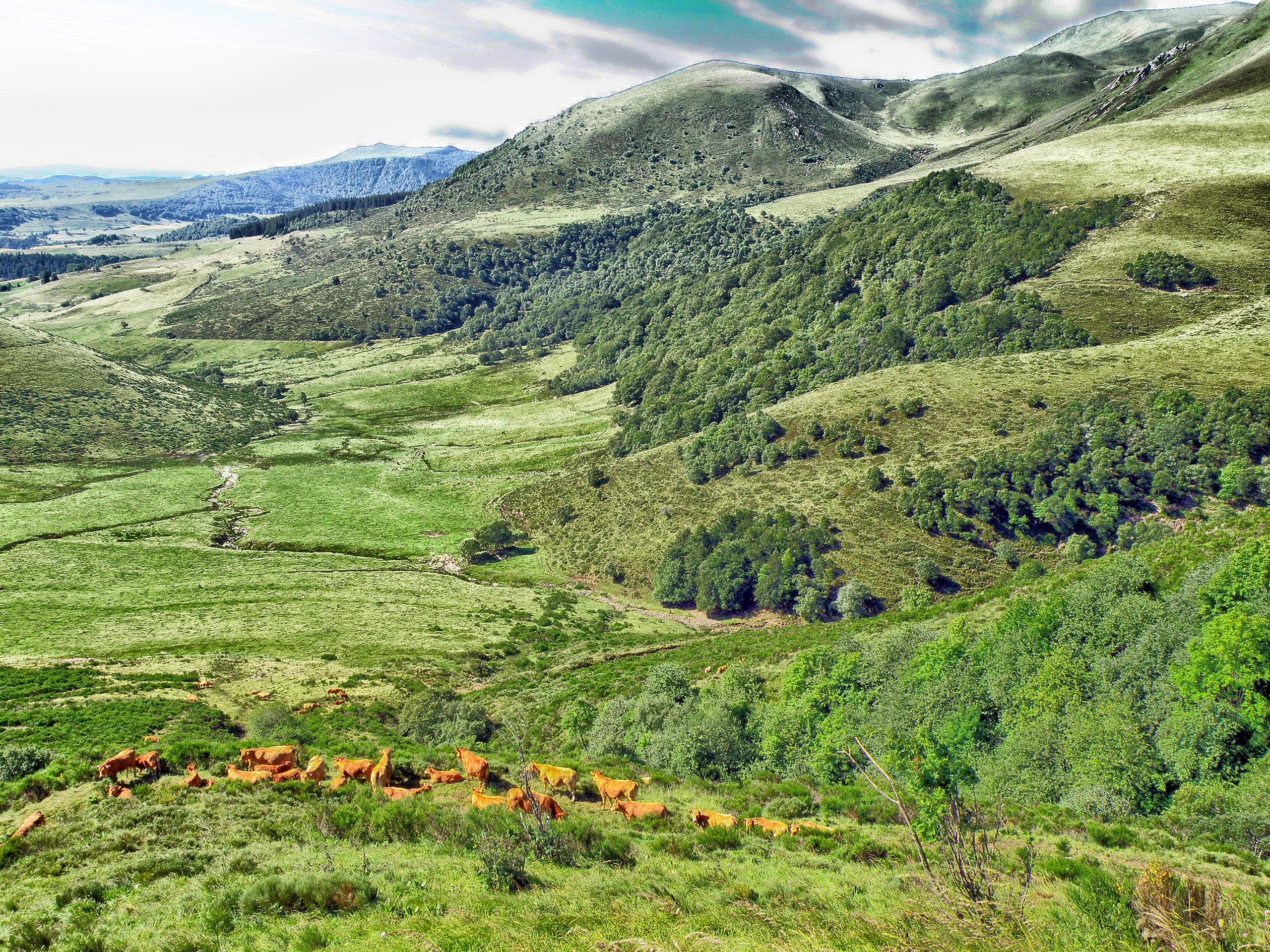 Free download high resolution image - free image free photo free stock image public domain picture -Landscape Scenic of Cattle Mountains Valley France