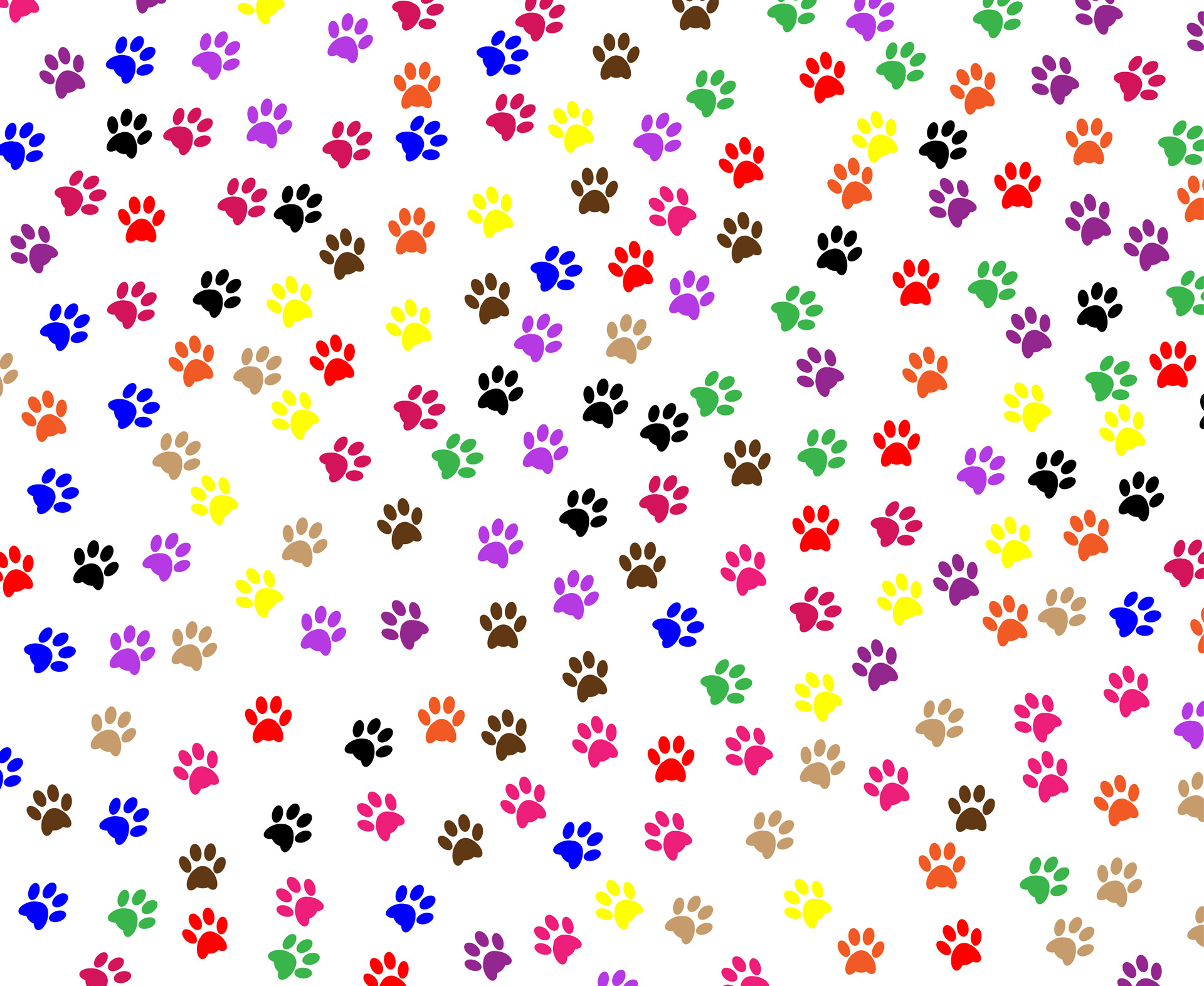 Free download high resolution image - free image free photo free stock image public domain picture -Paw Prints Background