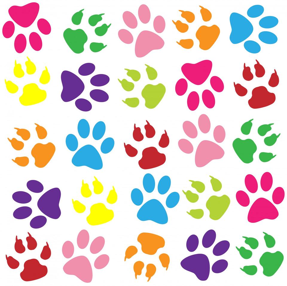 Free download high resolution image - free image free photo free stock image public domain picture  Paw Prints Colorful Background