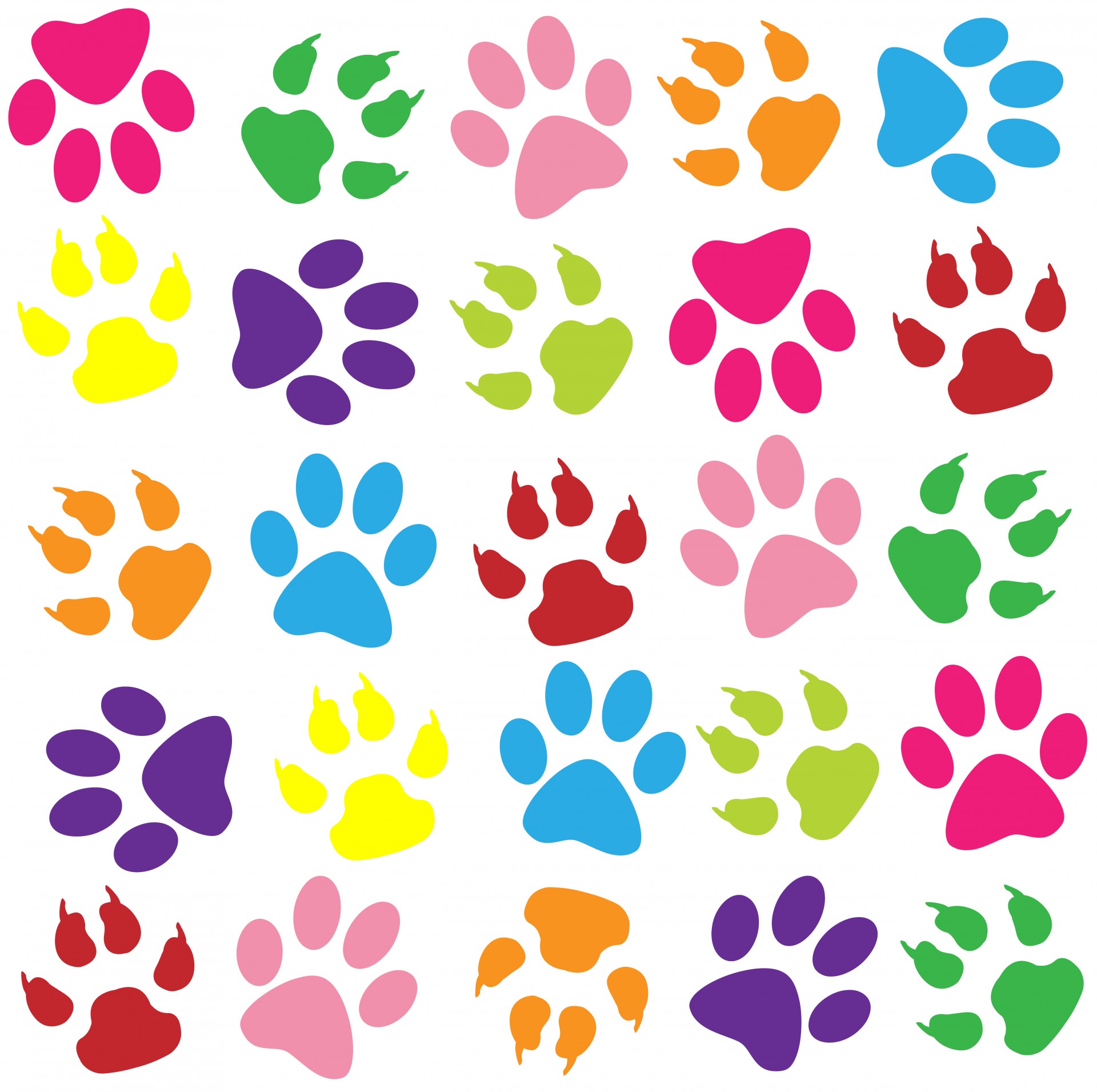 Free download high resolution image - free image free photo free stock image public domain picture -Paw Prints Colorful Background