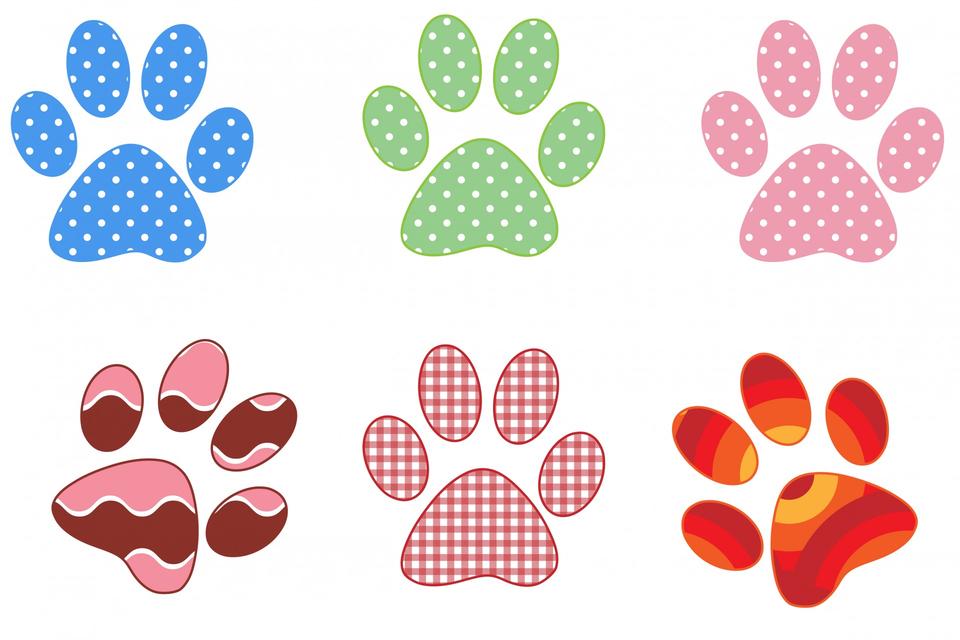 Free download high resolution image - free image free photo free stock image public domain picture  Paw Prints Colorful Patterns