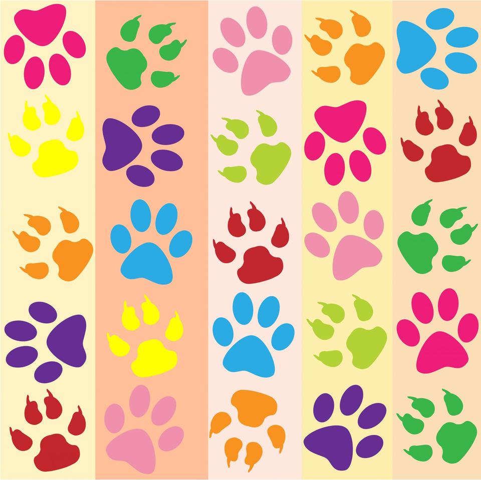 Free download high resolution image - free image free photo free stock image public domain picture  Paw Prints Colorful Wallpaper