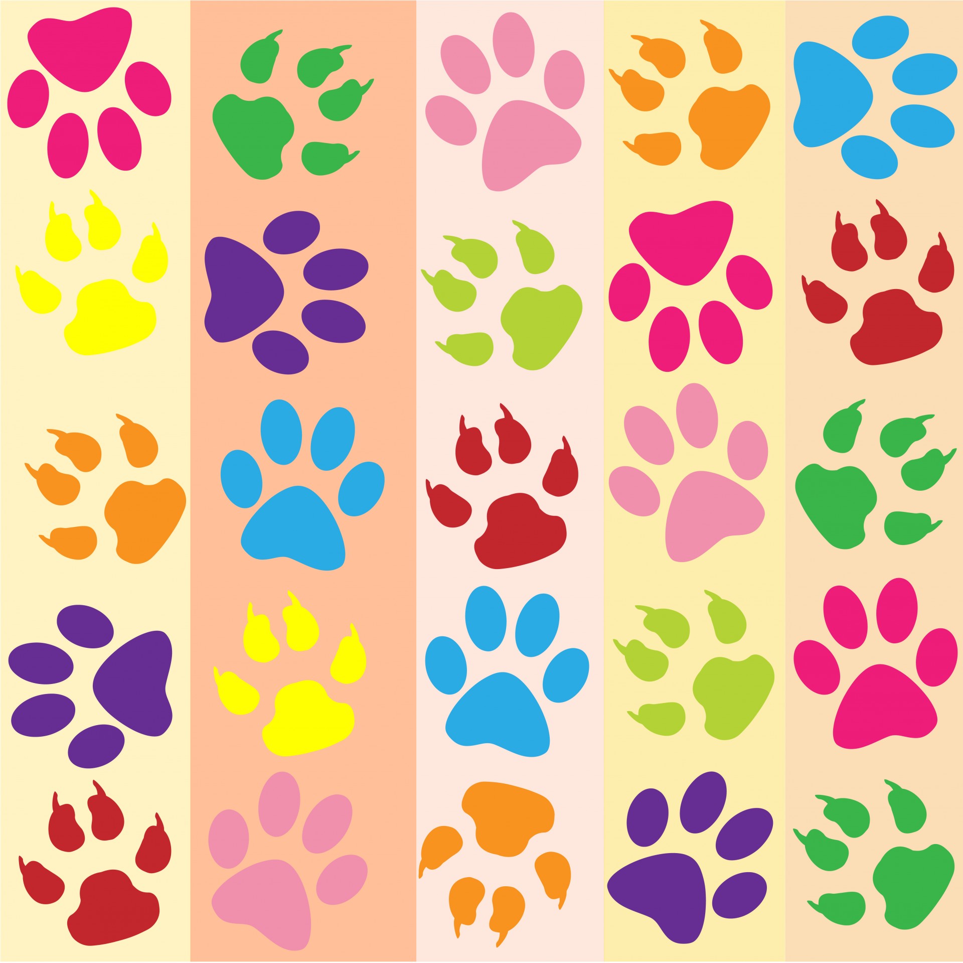 Free download high resolution image - free image free photo free stock image public domain picture -Paw Prints Colorful Wallpaper