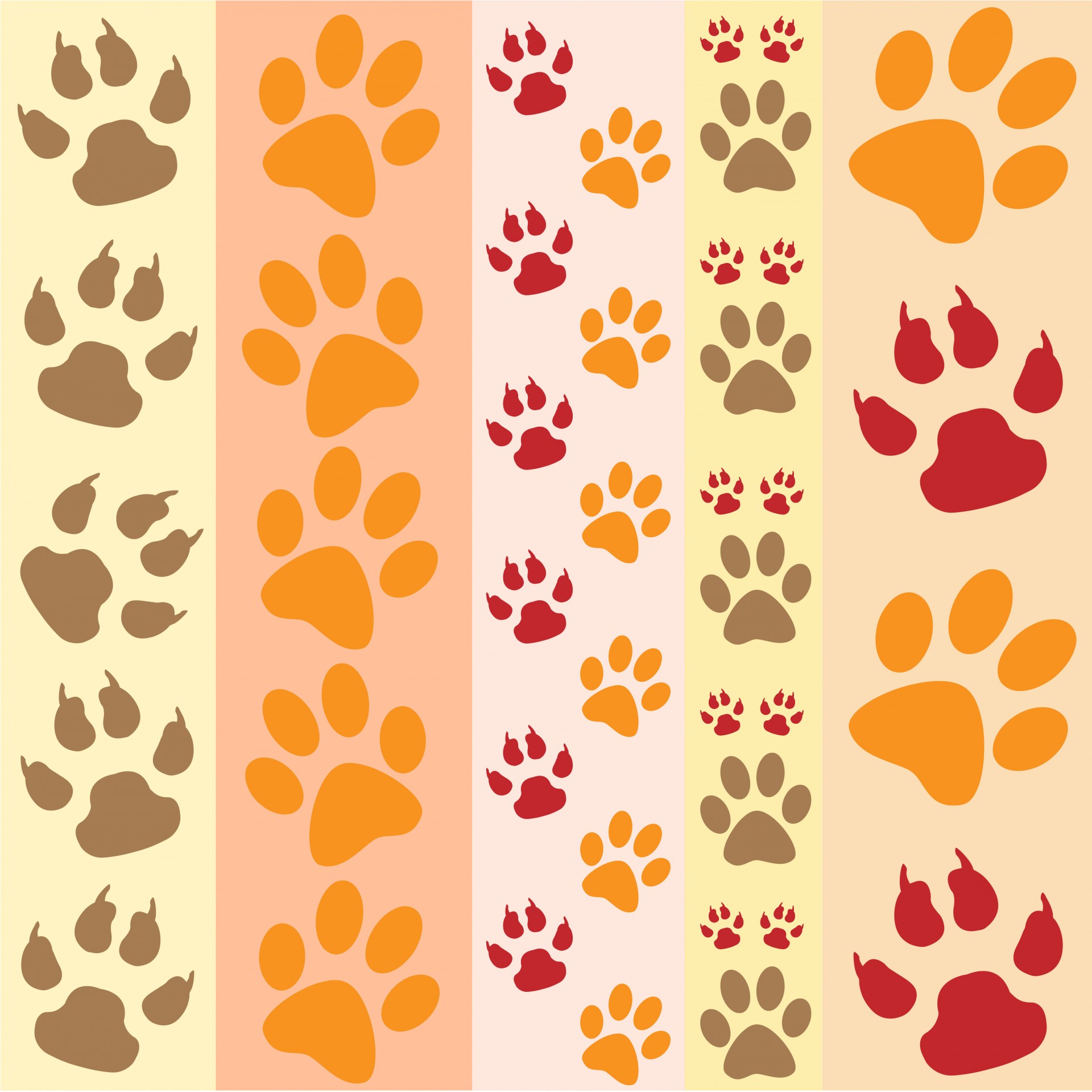 Free download high resolution image - free image free photo free stock image public domain picture -Paw Prints Fun Wallpaper