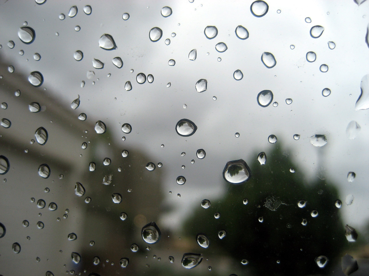 Free download high resolution image - free image free photo free stock image public domain picture -Rain on window