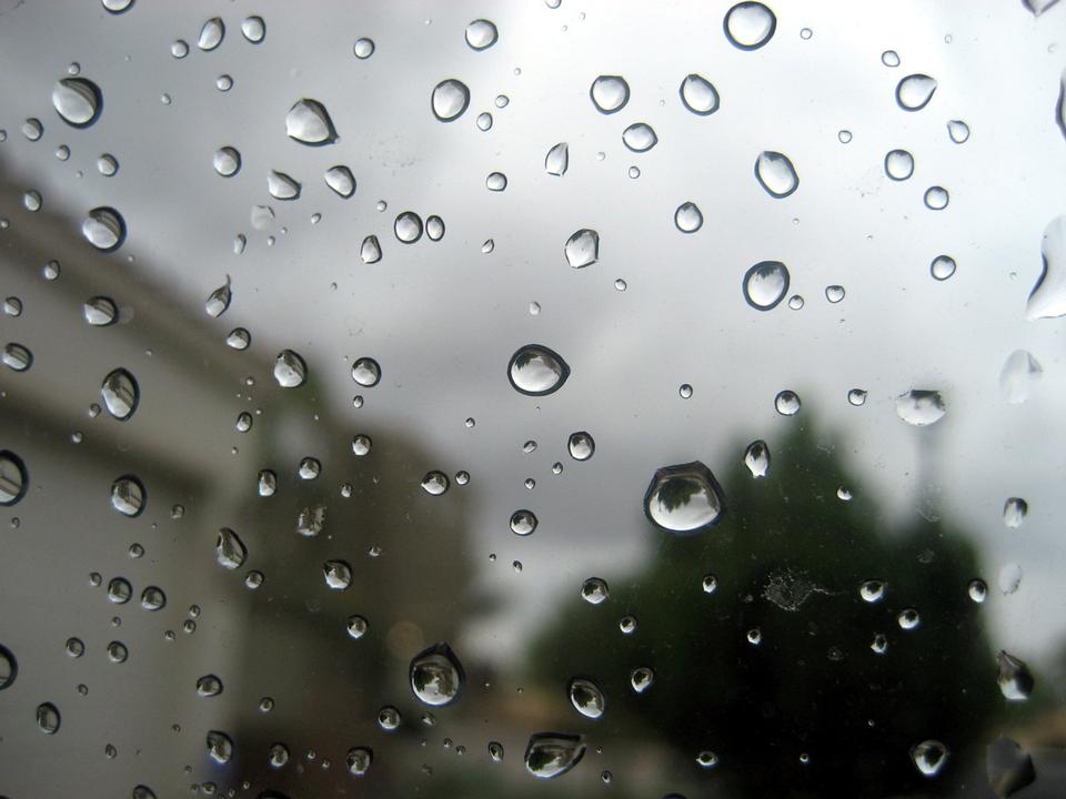 Free download high resolution image - free image free photo free stock image public domain picture  Rain on window