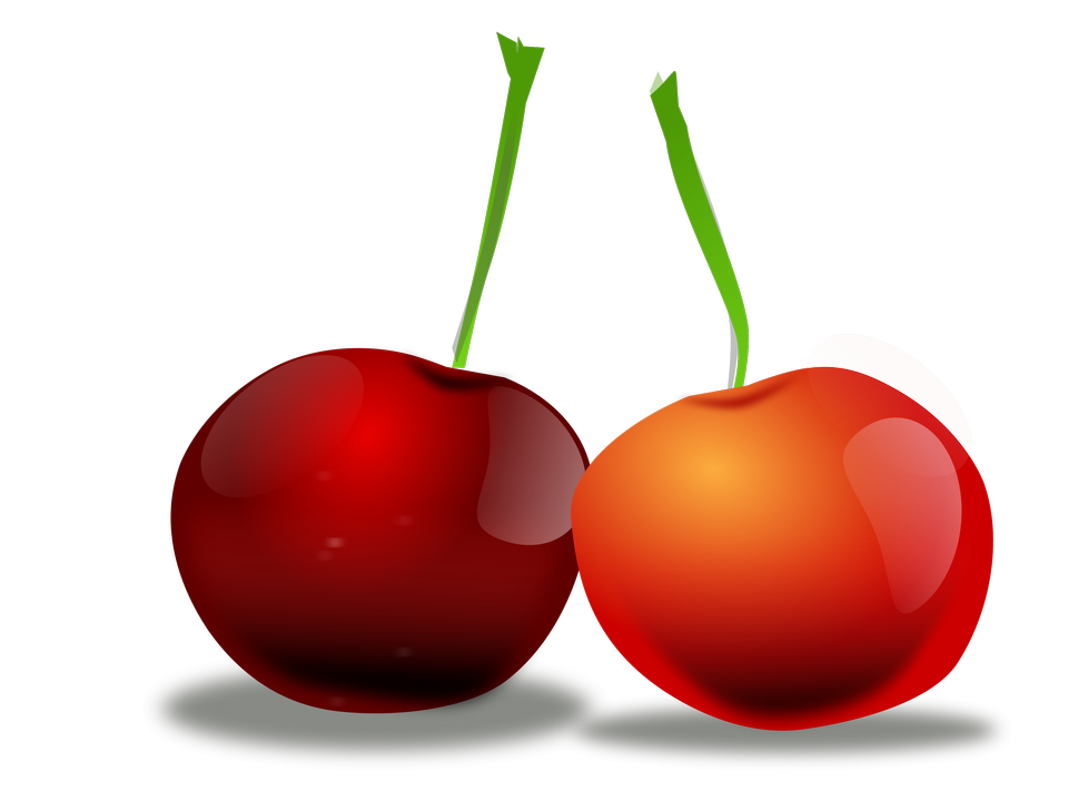 Free download high resolution image - free image free photo free stock image public domain picture  Illustration Of Cherries