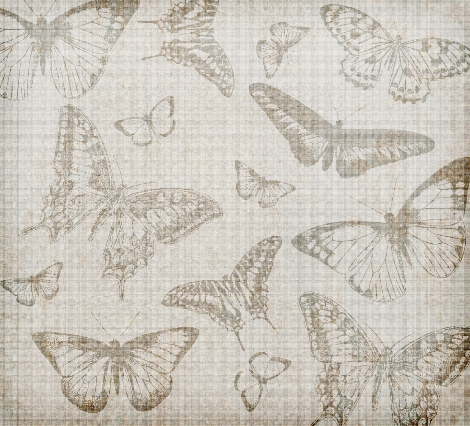 Free download high resolution image - free image free photo free stock image public domain picture -Butterfly Background Vintage