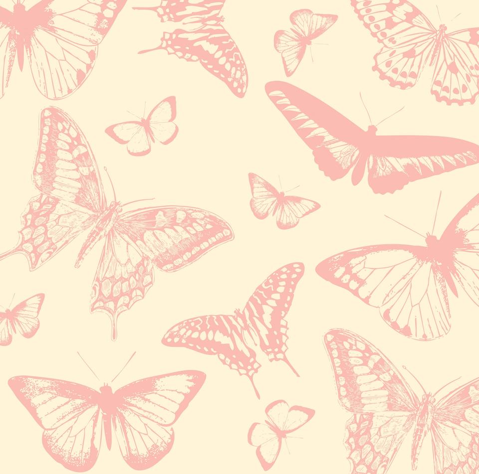 Free download high resolution image - free image free photo free stock image public domain picture  Butterfly Background Vintage Style