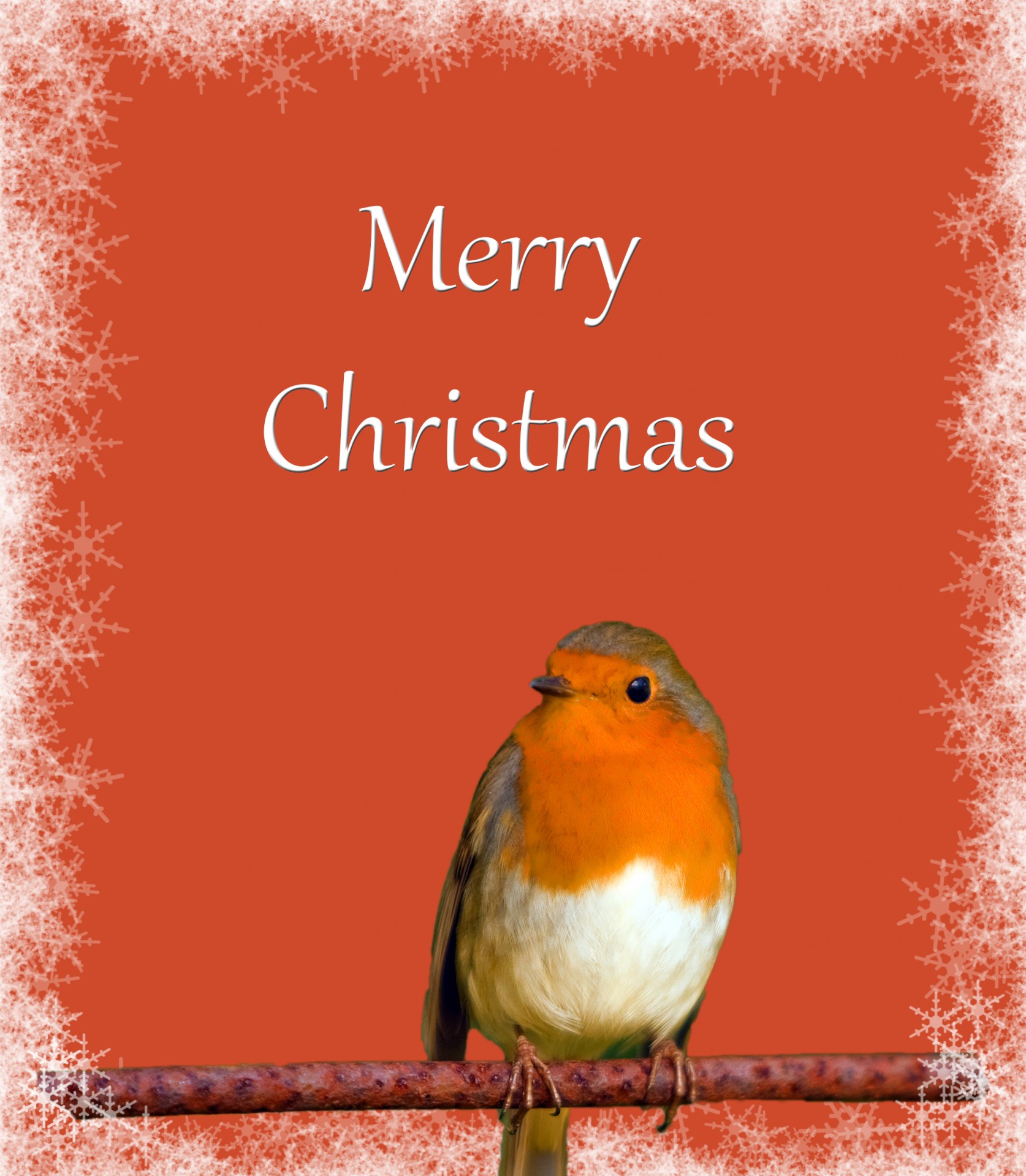 Free download high resolution image - free image free photo free stock image public domain picture -Christmas Card Robin Snowflakes