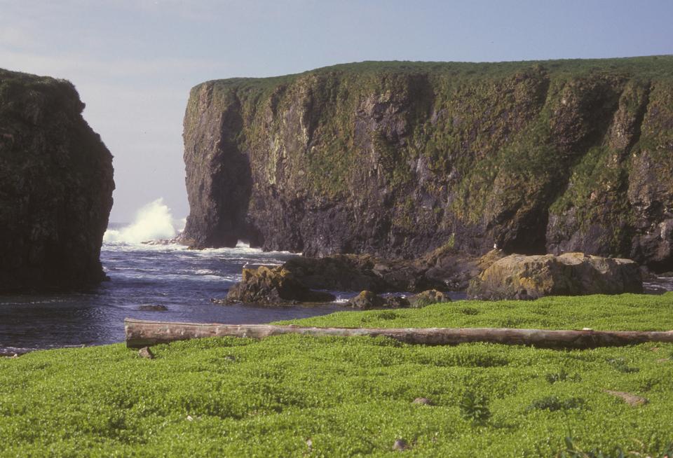 Free download high resolution image - free image free photo free stock image public domain picture  Cliffs By The Ocean