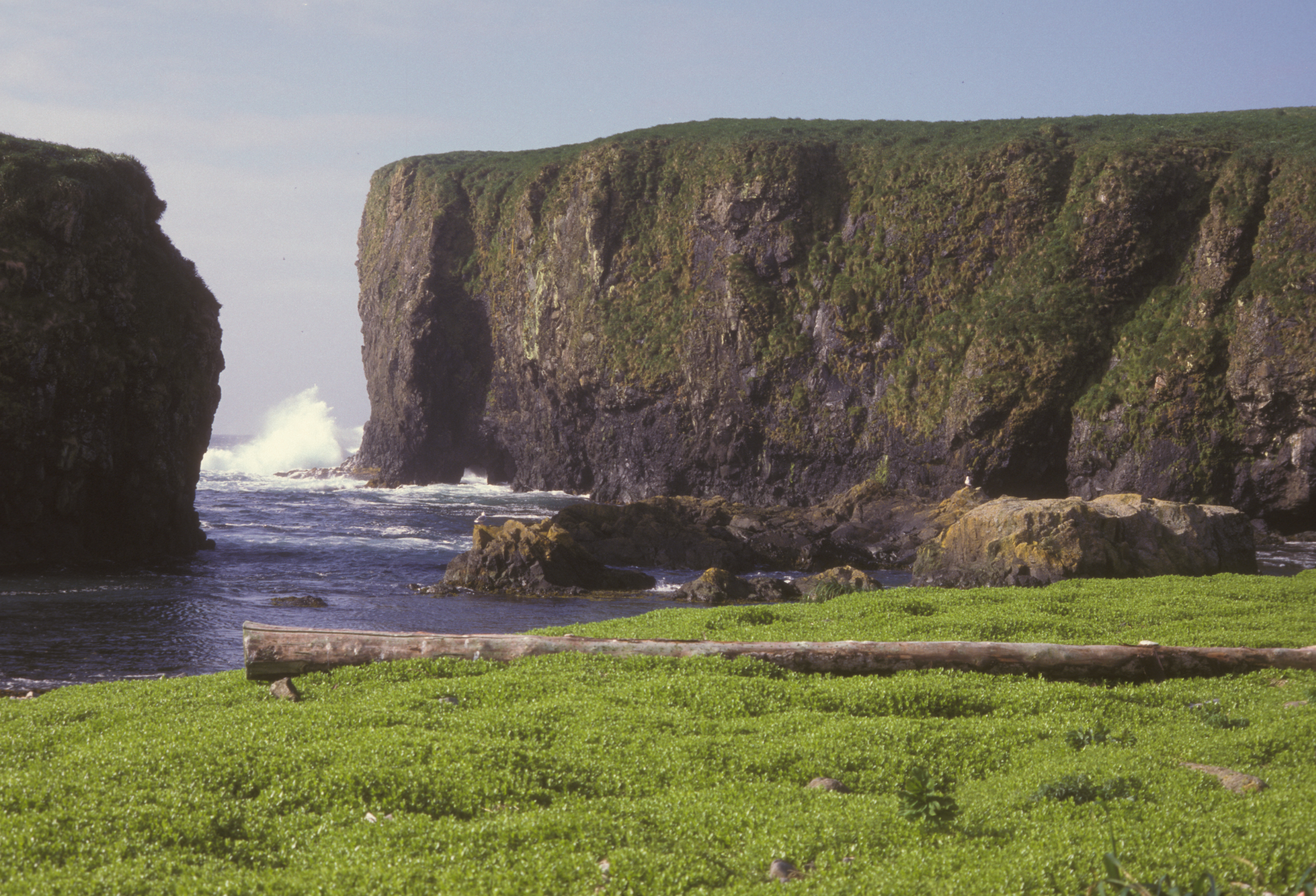 Free download high resolution image - free image free photo free stock image public domain picture -Cliffs By The Ocean