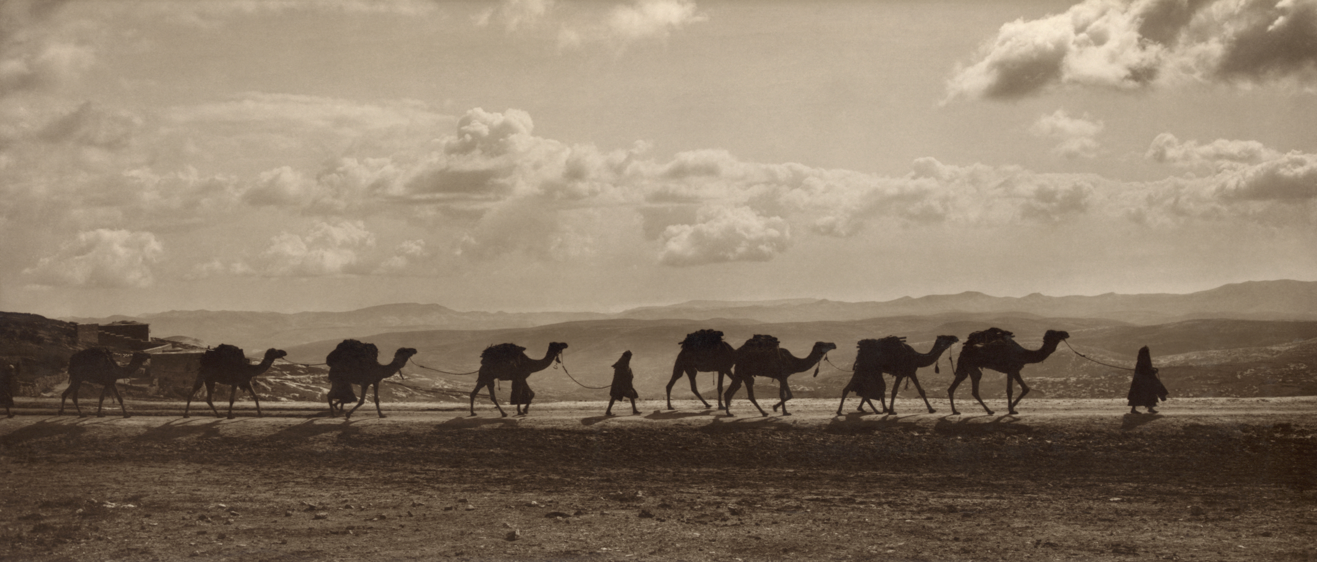 Free download high resolution image - free image free photo free stock image public domain picture -Egyptian camel transport passing over Olivet