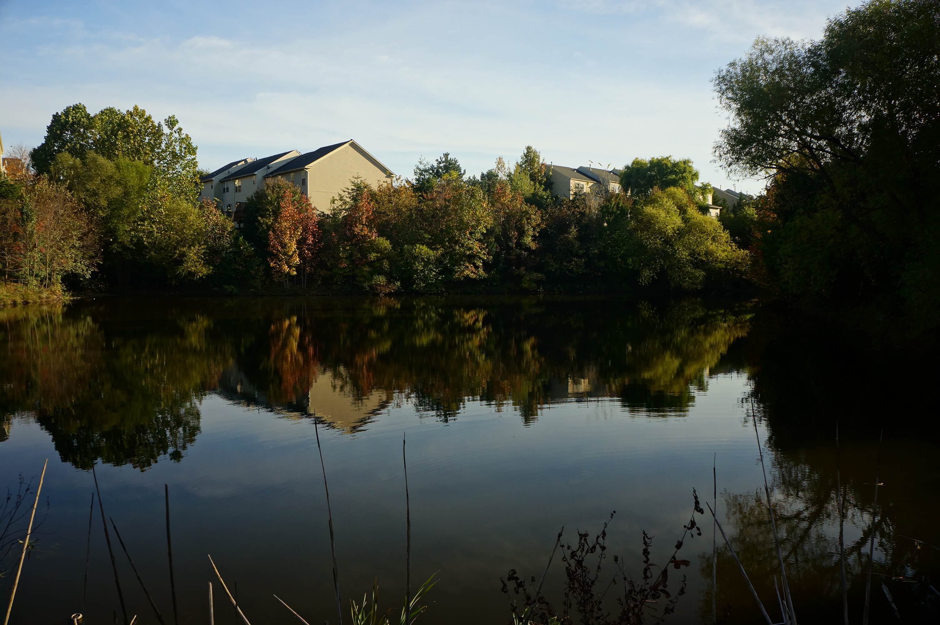 Free download high resolution image - free image free photo free stock image public domain picture -Houses by the lake