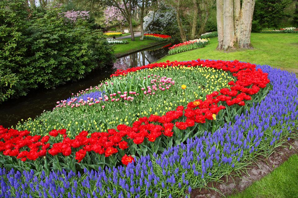 Free download high resolution image - free image free photo free stock image public domain picture  Keukenhof Gardens