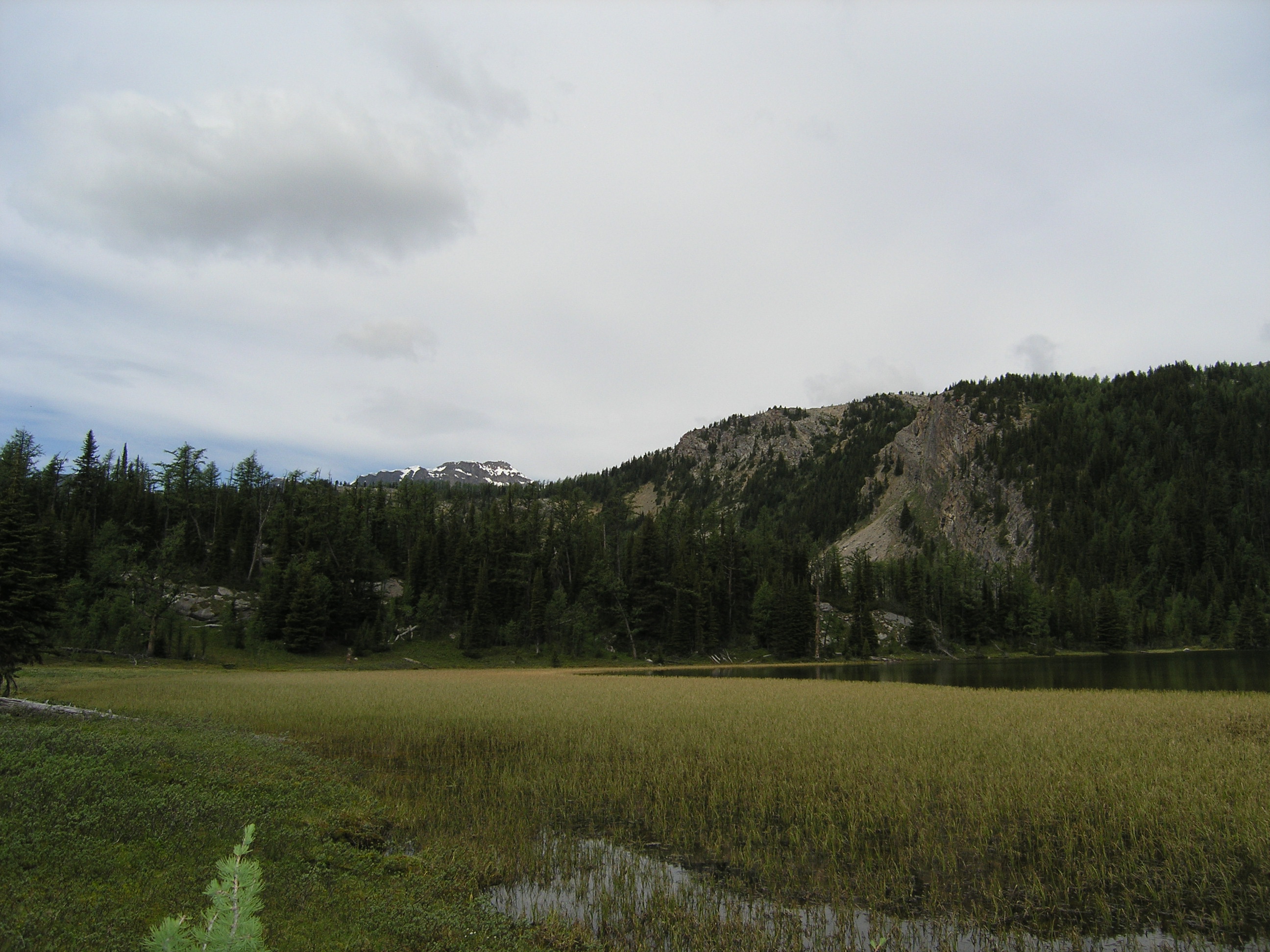 Free download high resolution image - free image free photo free stock image public domain picture -Assiniboine to Sunshine Meadows Trail