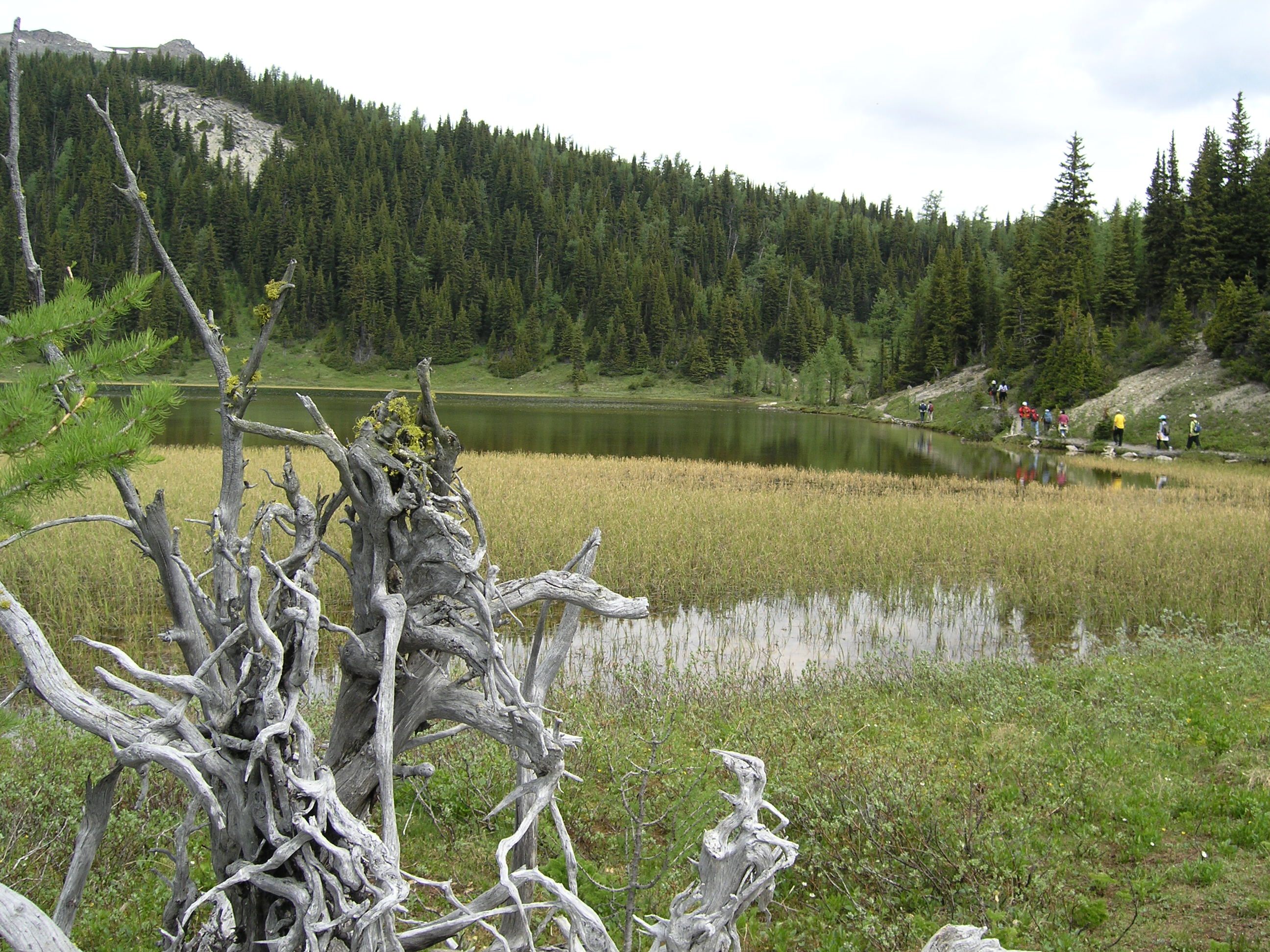 Free download high resolution image - free image free photo free stock image public domain picture -Sunshine Meadows Day Hike