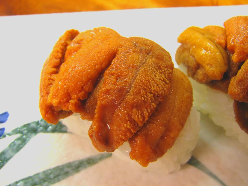 Free download high resolution image - free image free photo free stock image public domain picture  Sushi of Uni - Japanese Food