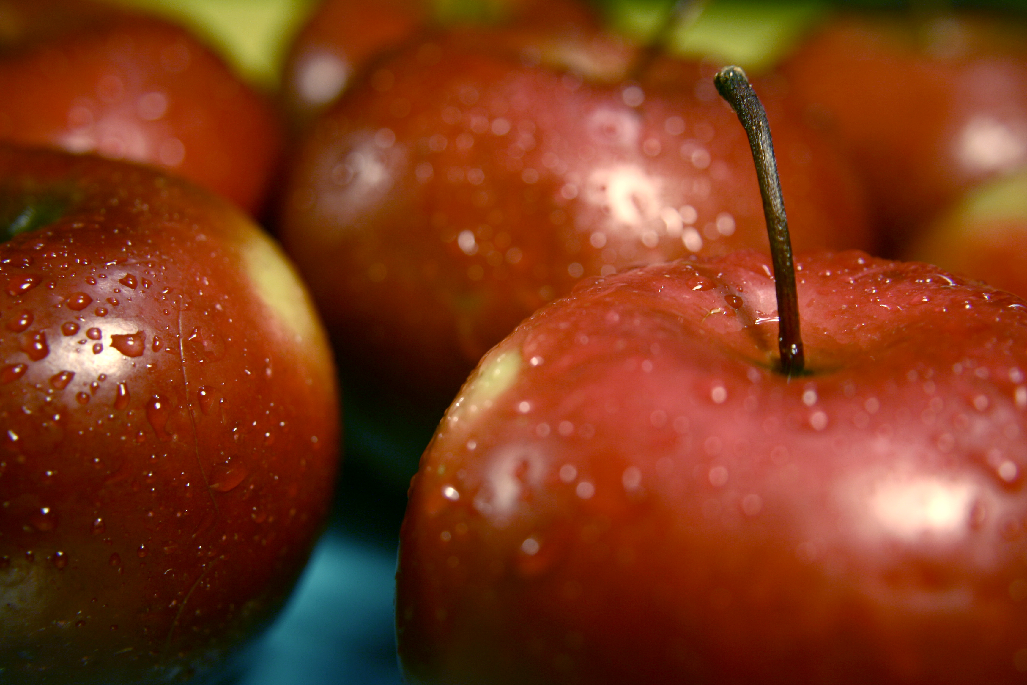 Free download high resolution image - free image free photo free stock image public domain picture -Closeup Of Red Apples