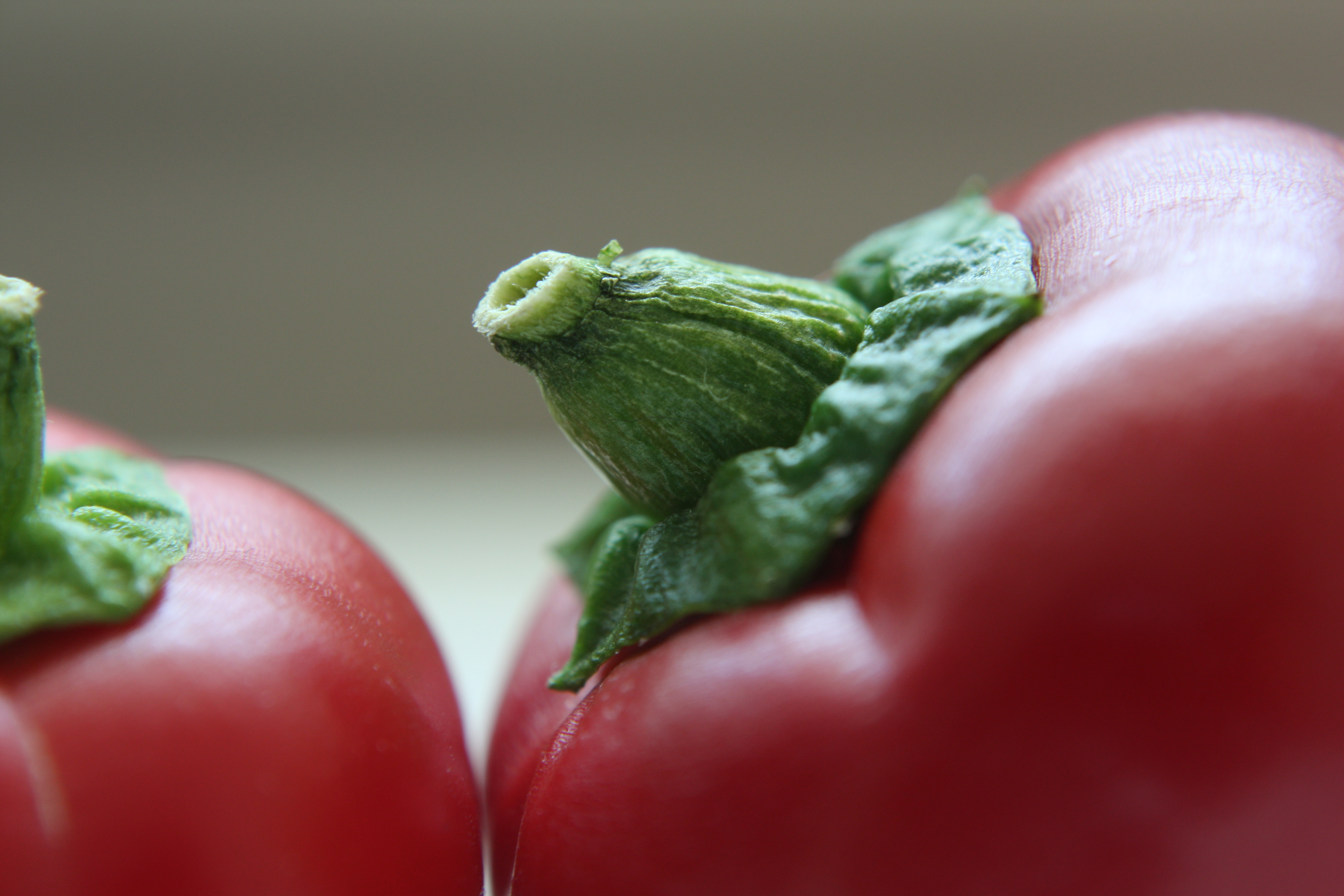 Free download high resolution image - free image free photo free stock image public domain picture -Close-up Of Red Chili Peppers