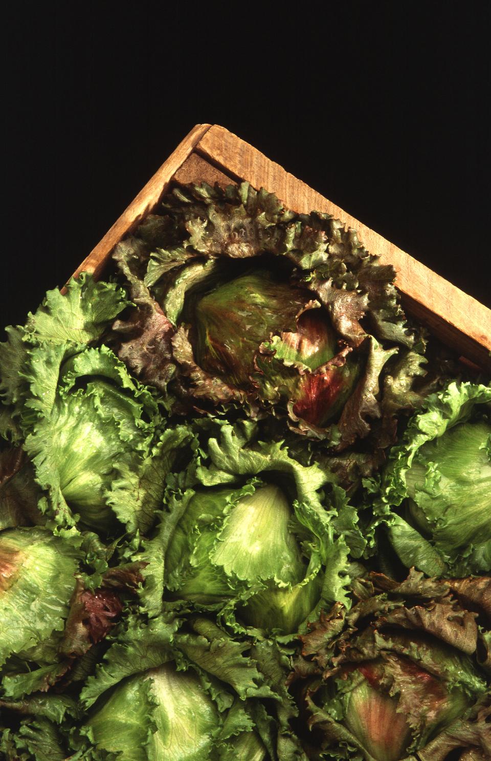 Free download high resolution image - free image free photo free stock image public domain picture  Heads Of Iceberg Lettuce In A Crate