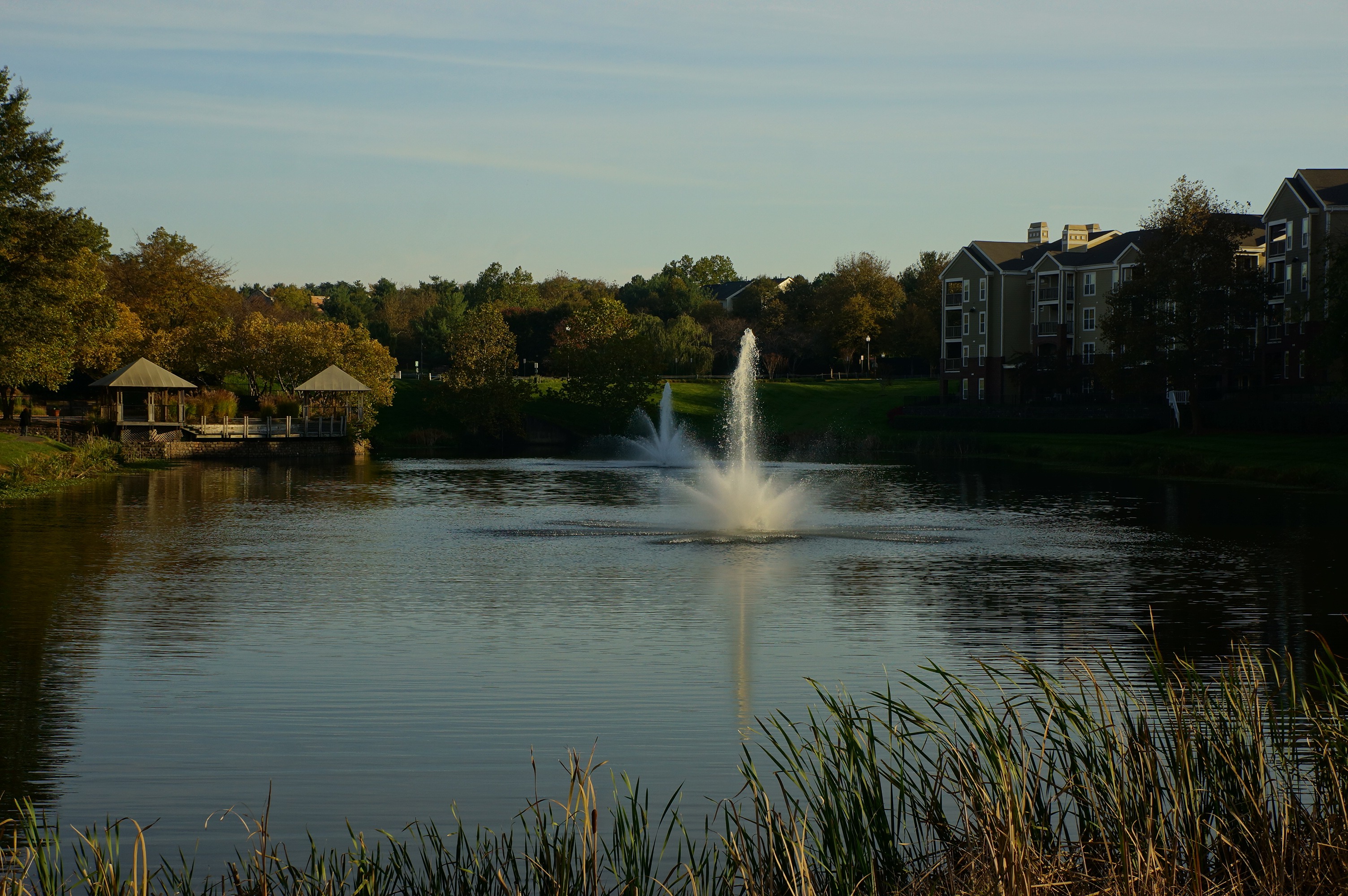 Free download high resolution image - free image free photo free stock image public domain picture -Apartment on the shore of the pond