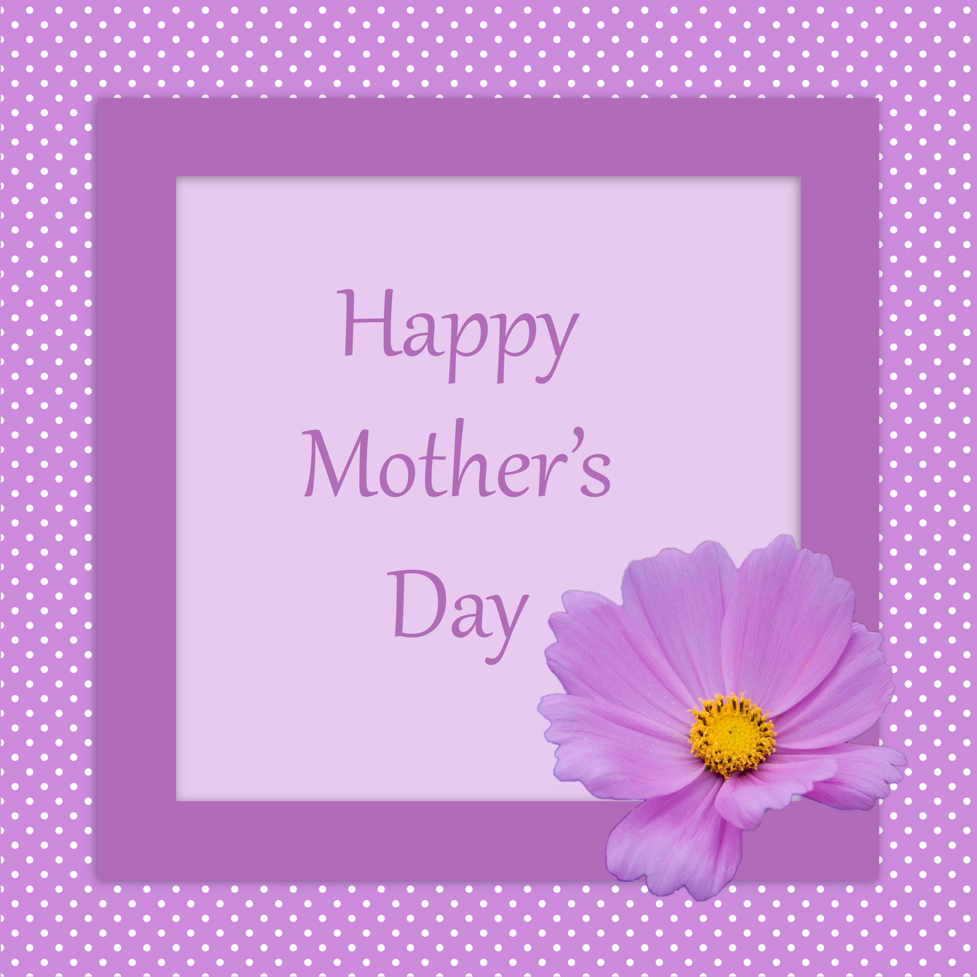 Free download high resolution image - free image free photo free stock image public domain picture -Mother's Day Card Flower