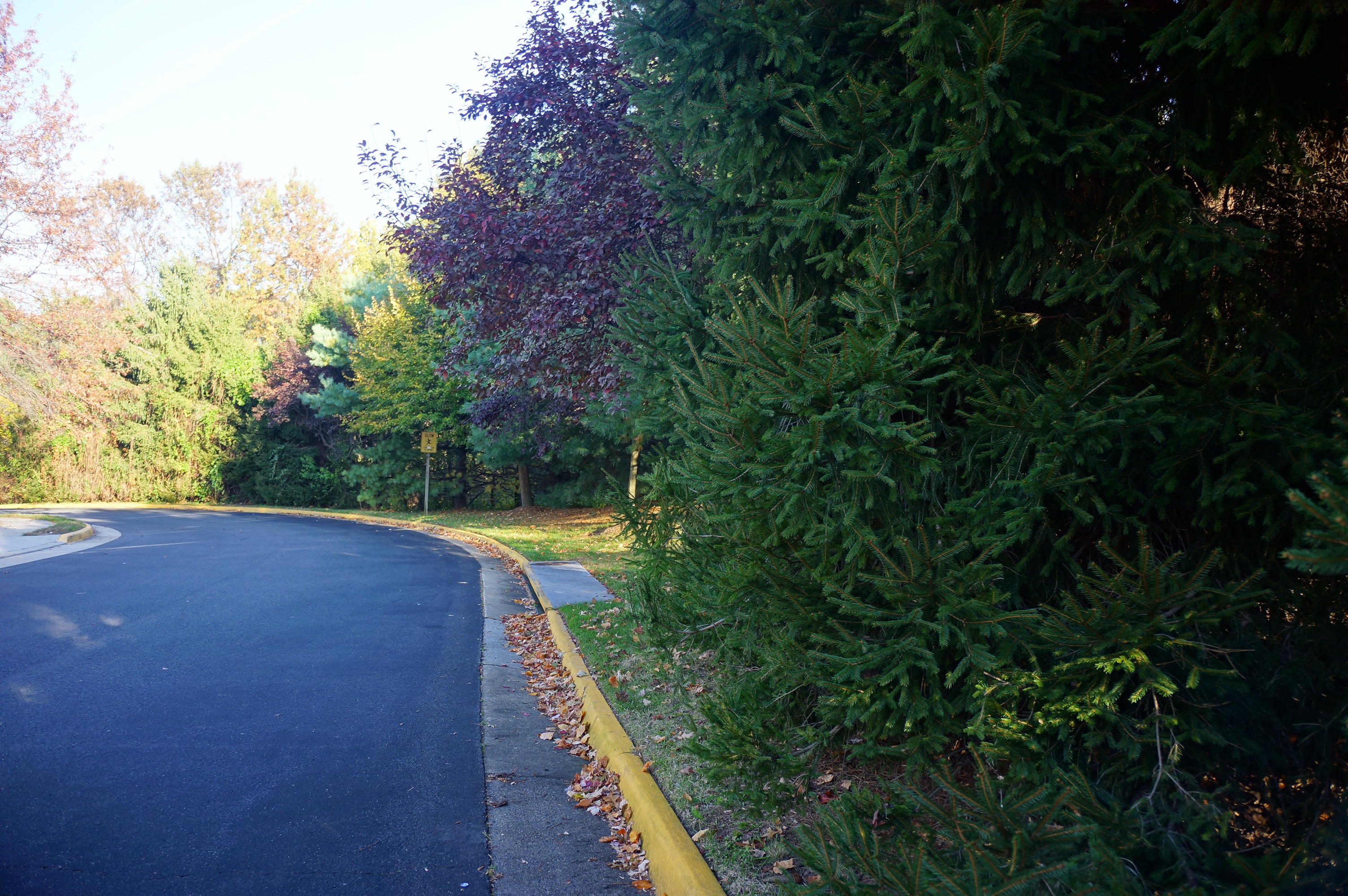 Free download high resolution image - free image free photo free stock image public domain picture -autumn walkway