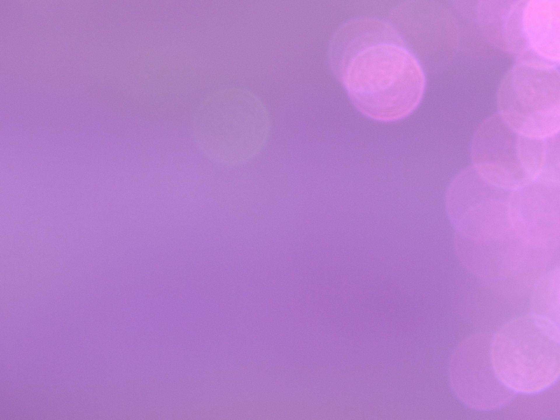 Free download high resolution image - free image free photo free stock image public domain picture -Purple background