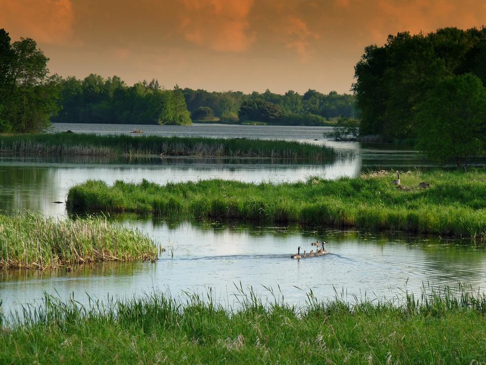 Free download high resolution image - free image free photo free stock image public domain picture  Calm Water Lake Wetland Wisconsin Landscape