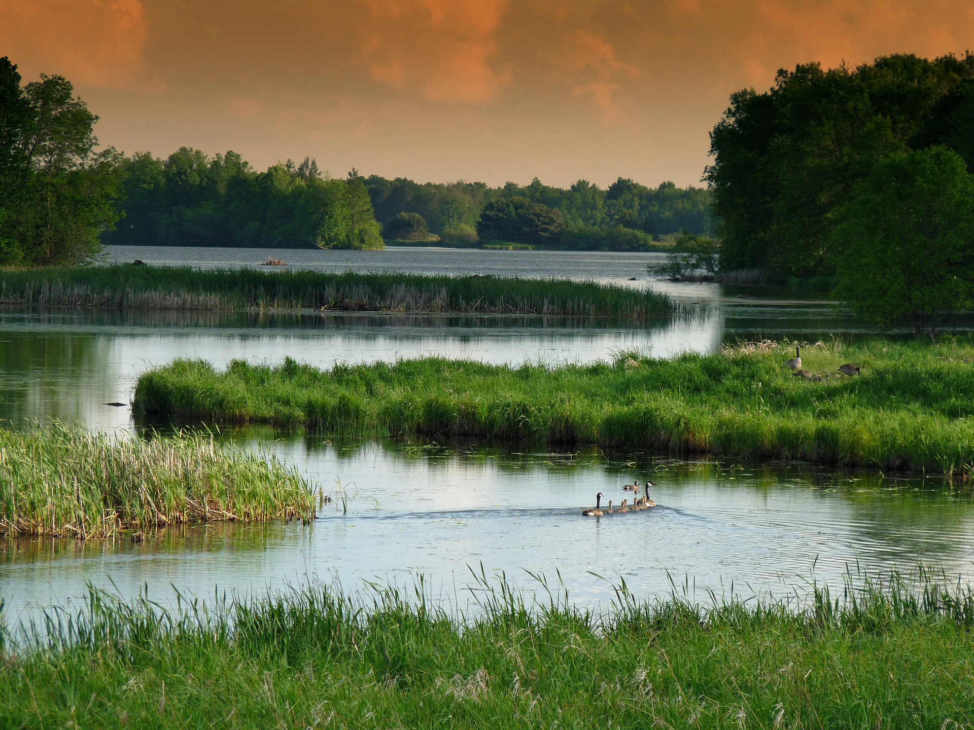 Free download high resolution image - free image free photo free stock image public domain picture -Calm Water Lake Wetland Wisconsin Landscape