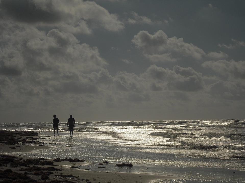 Free download high resolution image - free image free photo free stock image public domain picture  Calm discovery moments on the beach