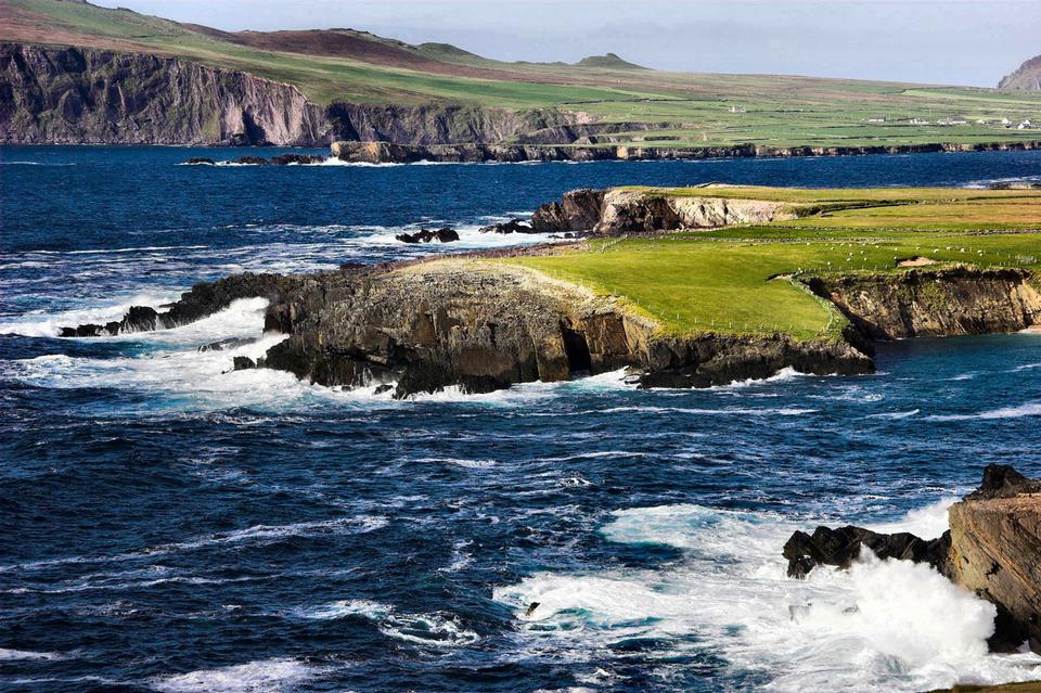 Free download high resolution image - free image free photo free stock image public domain picture  Sheep grazing on the southwest coast of Ireland