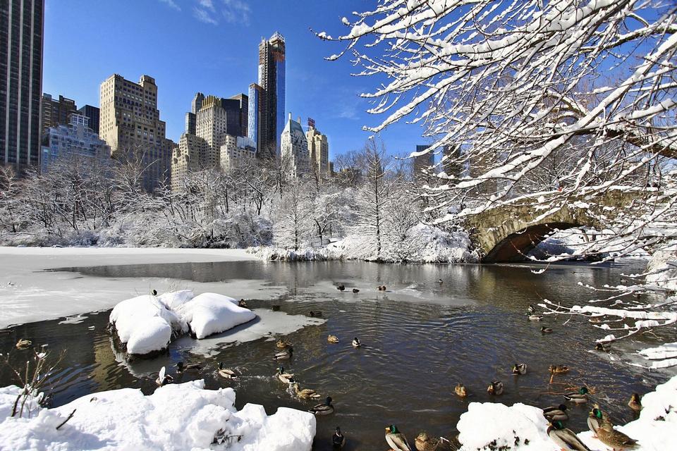 Free download high resolution image - free image free photo free stock image public domain picture  Day after snow storm in Central Park New York