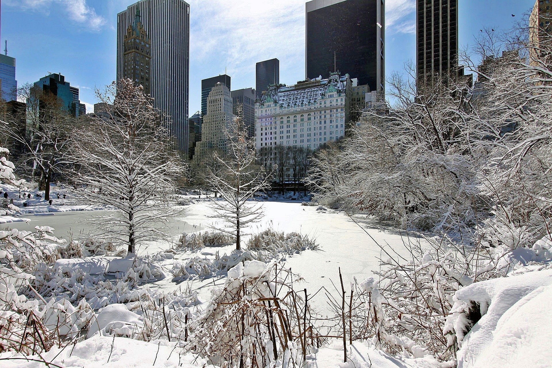 Free download high resolution image - free image free photo free stock image public domain picture -Day after snow storm in Central Park New York