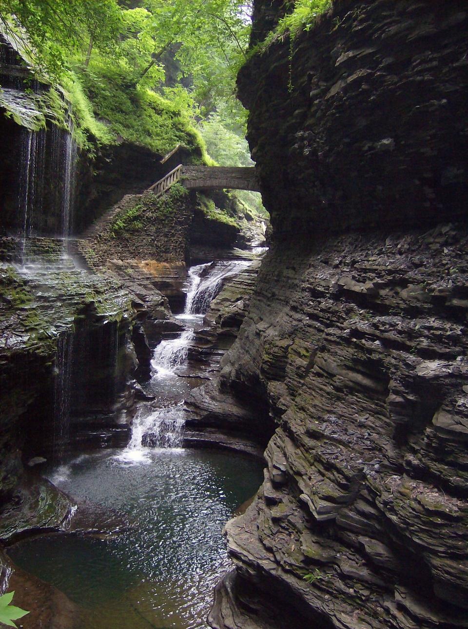 Free download high resolution image - free image free photo free stock image public domain picture  lush green foliage at Watkins Glen State Park