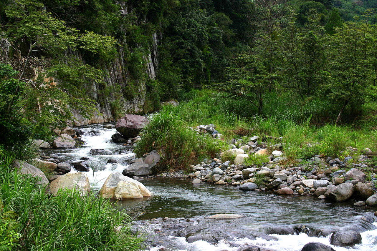 Free download high resolution image - free image free photo free stock image public domain picture -Mountain Stream in Western Panama