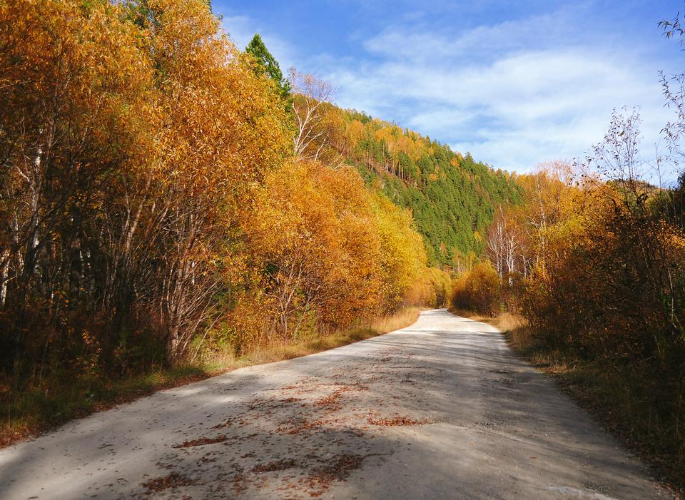 Free download high resolution image - free image free photo free stock image public domain picture  The road goes through the autumn woods