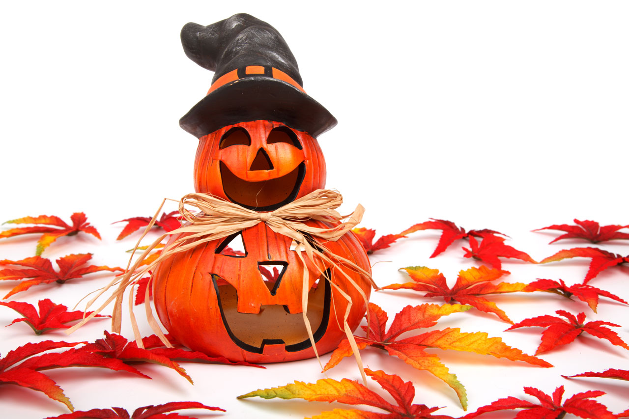 Free download high resolution image - free image free photo free stock image public domain picture -halloween decoration with leaves