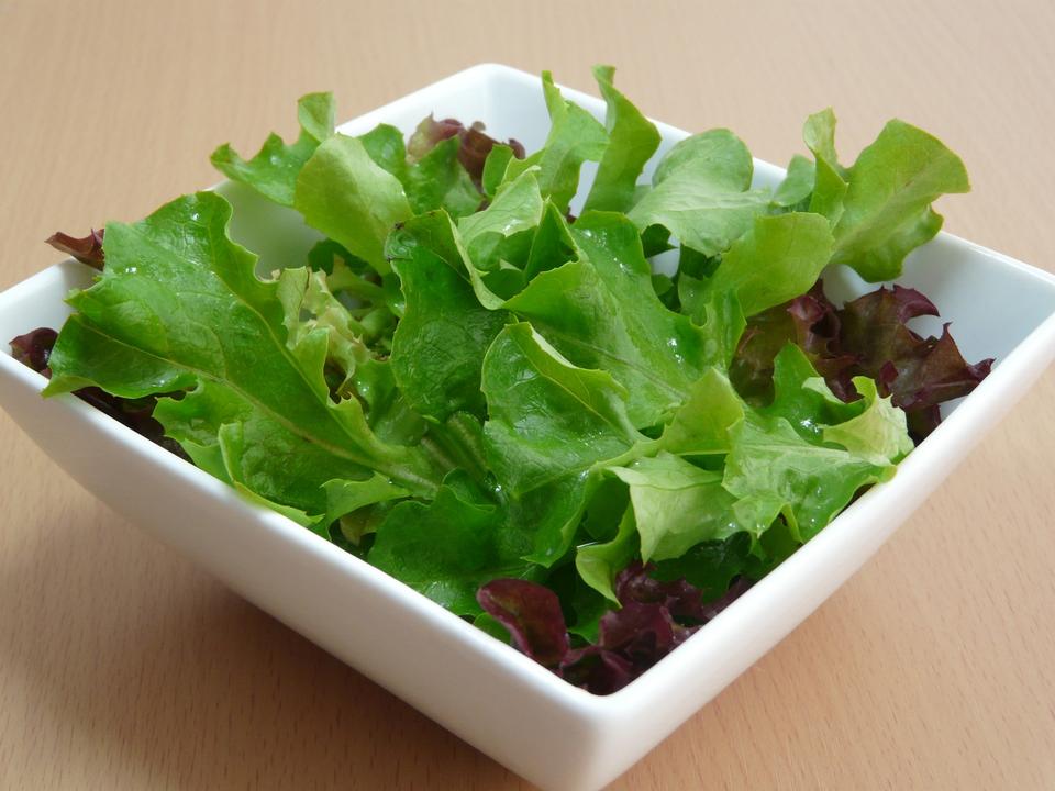 Free download high resolution image - free image free photo free stock image public domain picture  Green salad in a white bowl