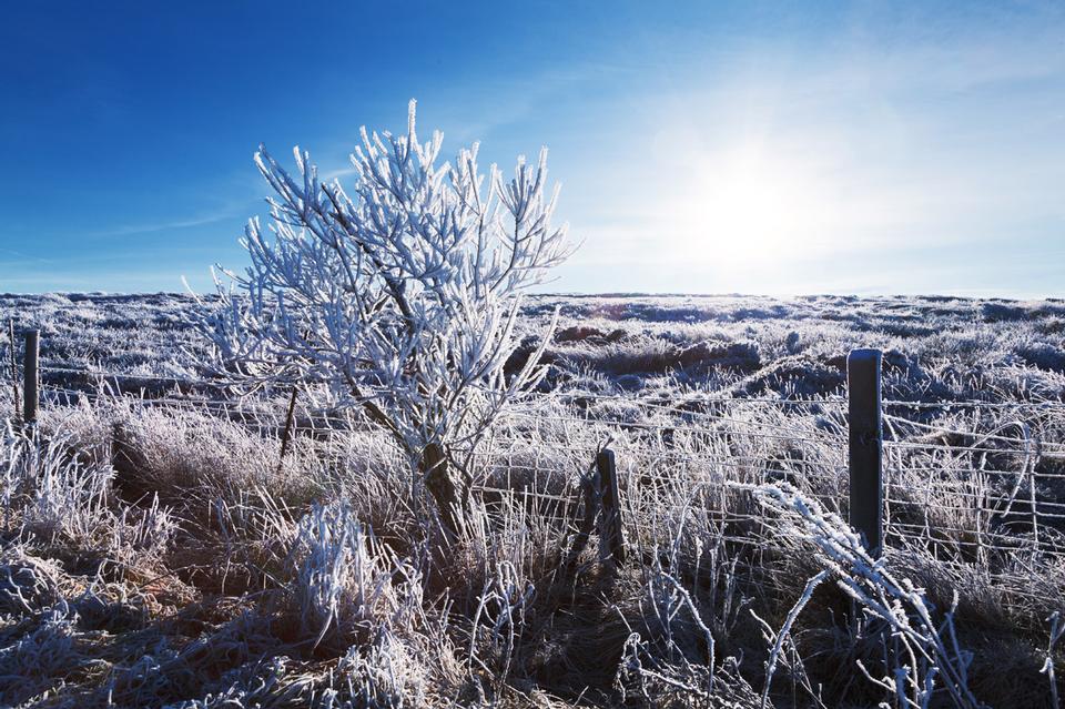 Free download high resolution image - free image free photo free stock image public domain picture  Winter landscape with hoar frost and rising sun