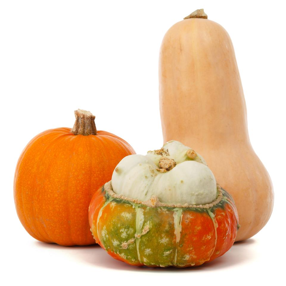 Free download high resolution image - free image free photo free stock image public domain picture  Isolated Pumpkins