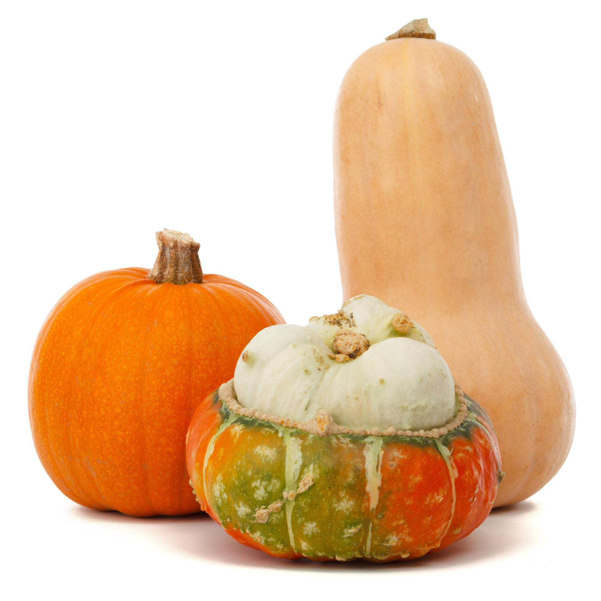 Free download high resolution image - free image free photo free stock image public domain picture -Isolated Pumpkins