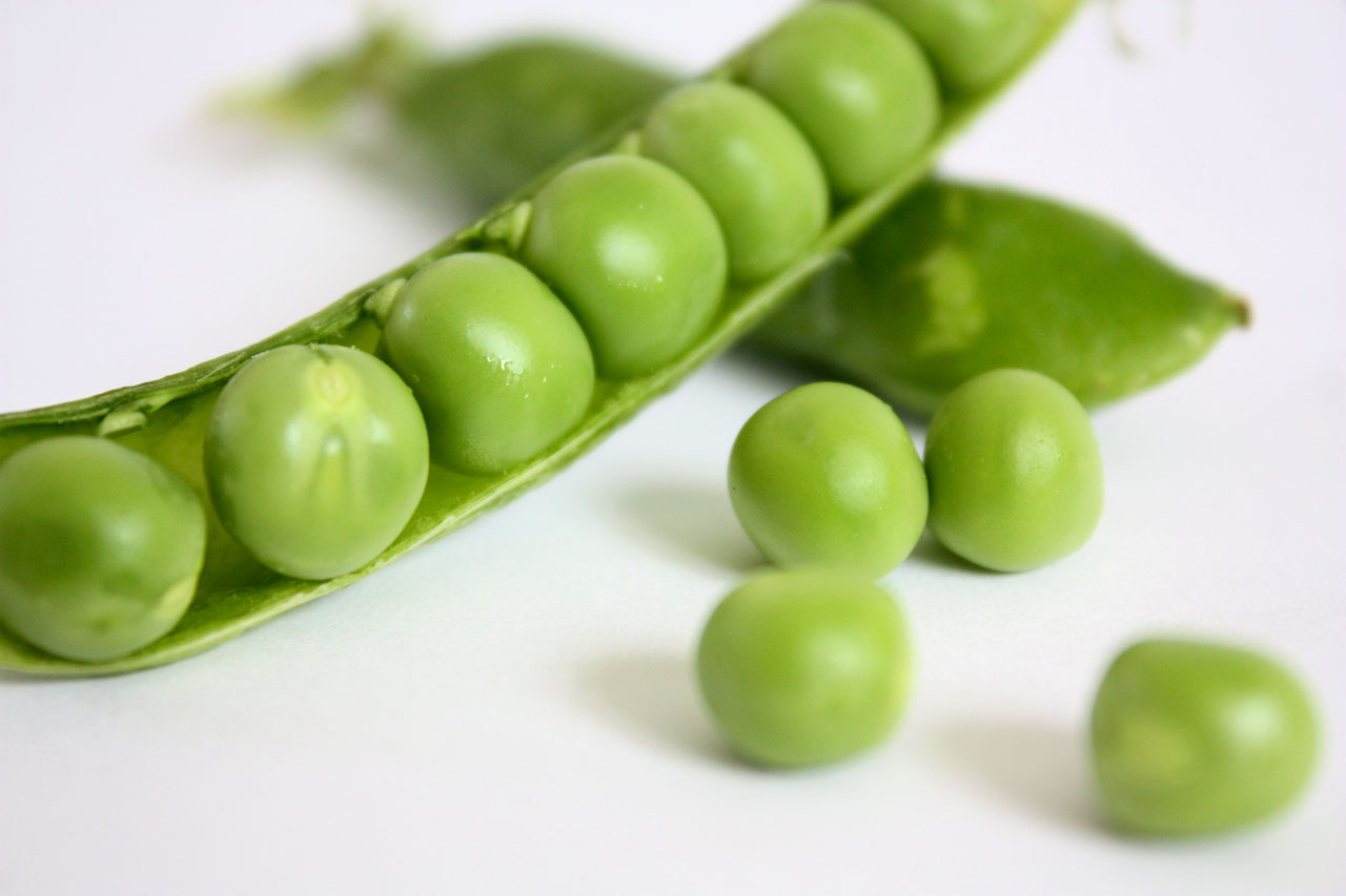 Free download high resolution image - free image free photo free stock image public domain picture -Peas